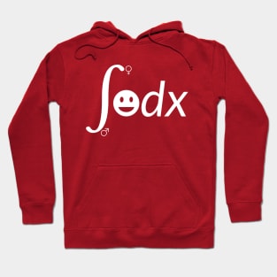 Funny Integral Hoodie